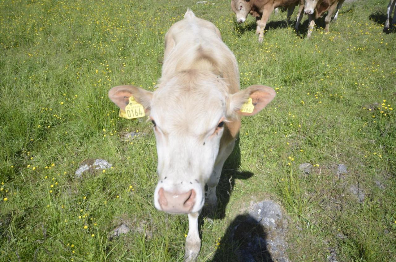 Gaeststugan Skara Dış mekan fotoğraf